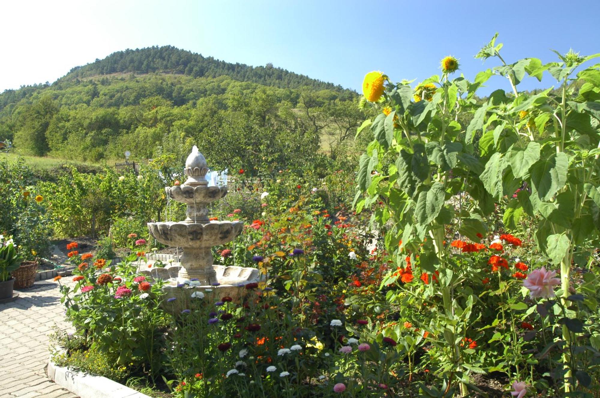 Hotel Haus Orchideental جينا المظهر الخارجي الصورة